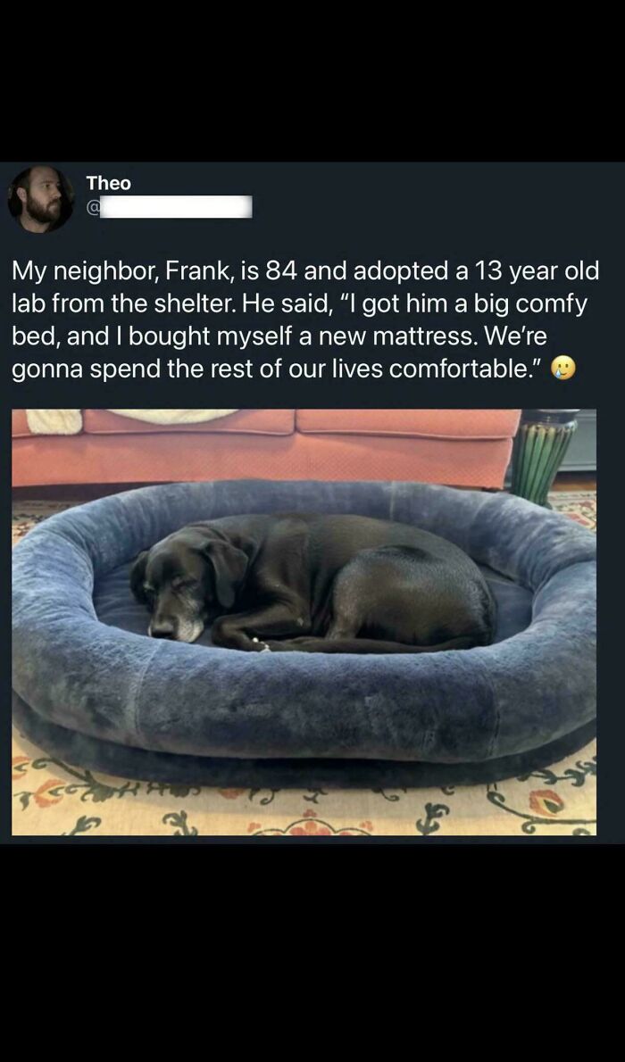 You Might Want To Prepare Tissues Before Reading These 53 Incredibly Wholesome Stories