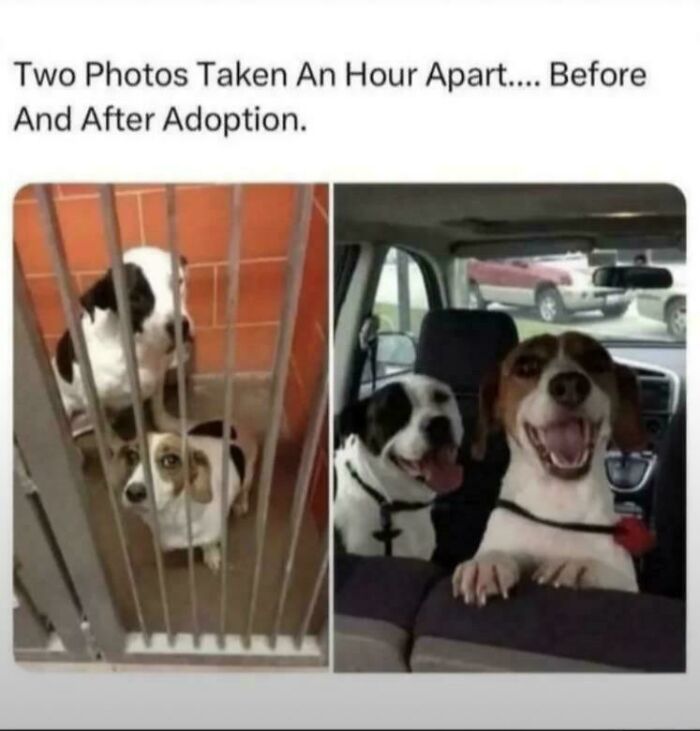 You Might Want To Prepare Tissues Before Reading These 53 Incredibly Wholesome Stories