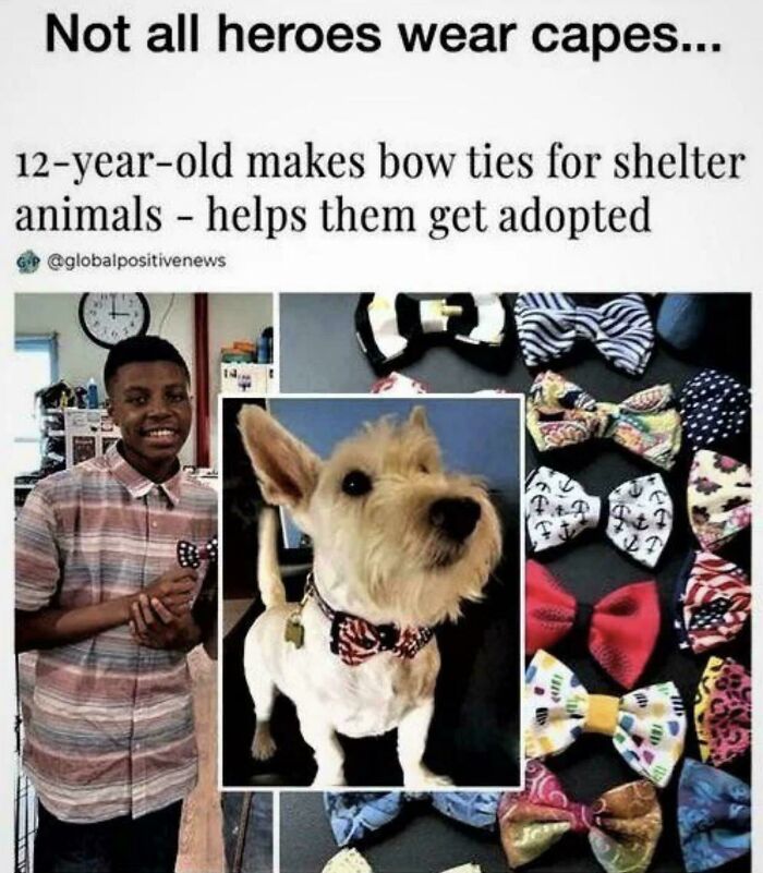 You Might Want To Prepare Tissues Before Reading These 53 Incredibly Wholesome Stories