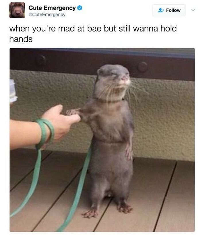 73 Hilarious Memes That Perfectly Sum Up Romantic Relationships