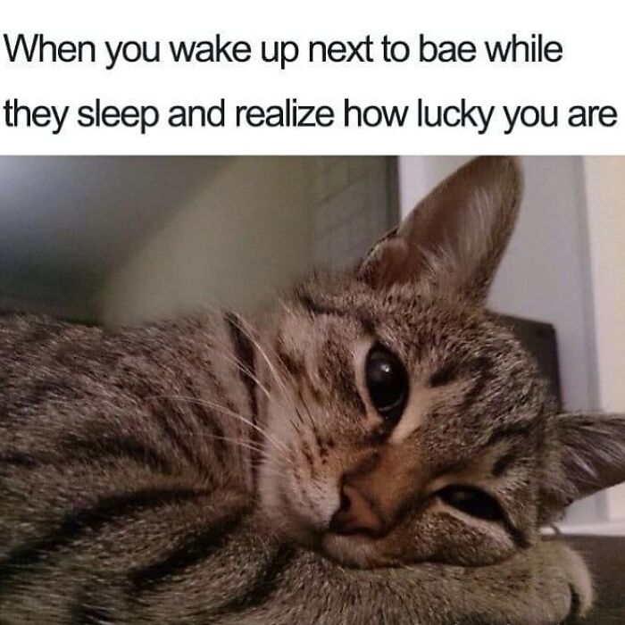 73 Hilarious Memes That Perfectly Sum Up Romantic Relationships