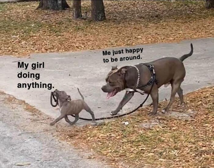 73 Hilarious Memes That Perfectly Sum Up Romantic Relationships