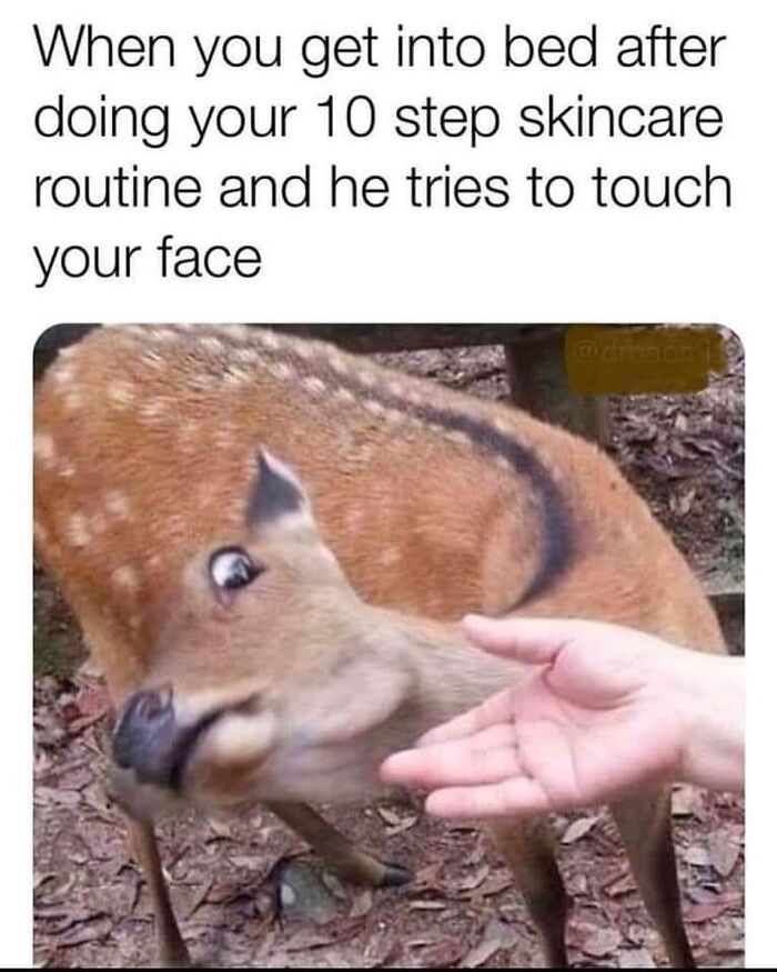 73 Hilarious Memes That Perfectly Sum Up Romantic Relationships