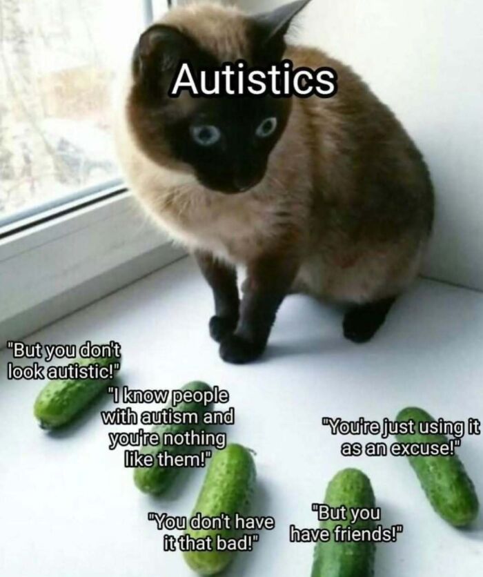 79 Spot-On Memes For Autistic People Who Are Tired Of Feeling Misunderstood