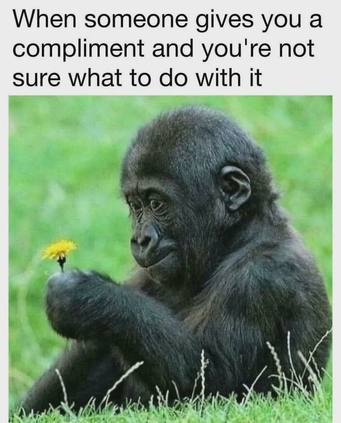 79 Spot-On Memes For Autistic People Who Are Tired Of Feeling Misunderstood