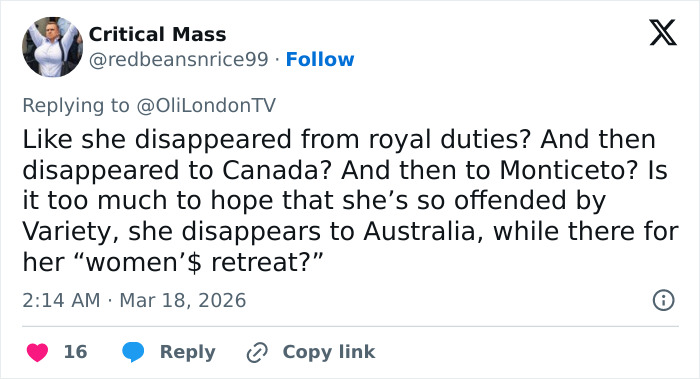 Meghan Markle’s Way To Deal With Criticism In Meetings Revealed By Report And Slammed By Public