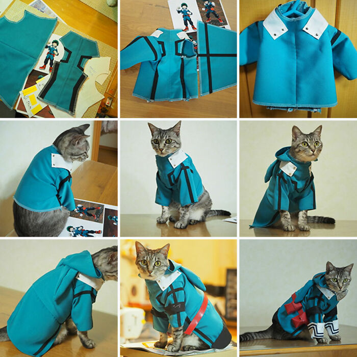 23 Handmade Costumes That This Guy Created For His Cats’ Cosplays (New Pics)