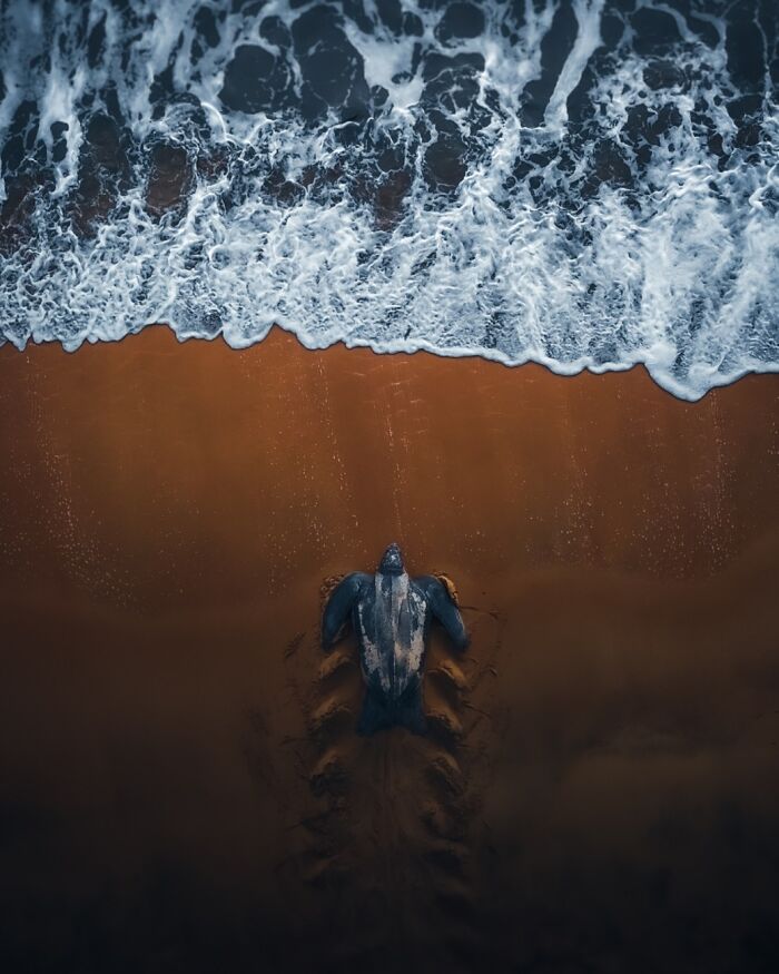 68 Stunning &ldquo;Photo Of The Day&rdquo; Images Shared By The Siena Awards Over The Years