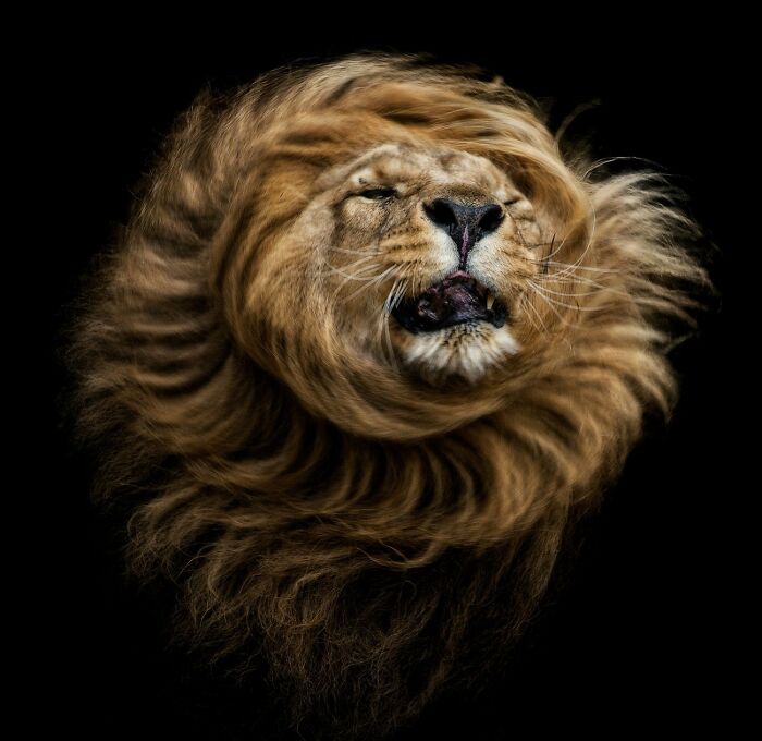 68 Stunning &ldquo;Photo Of The Day&rdquo; Images Shared By The Siena Awards Over The Years