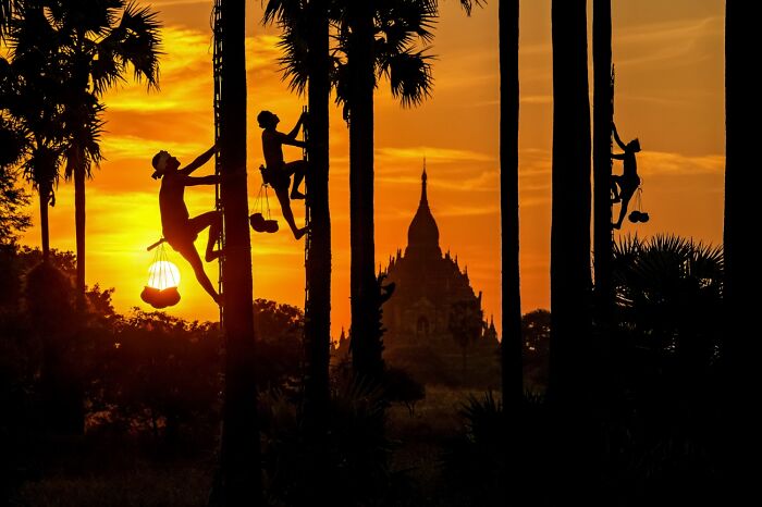 68 Stunning &ldquo;Photo Of The Day&rdquo; Images Shared By The Siena Awards Over The Years