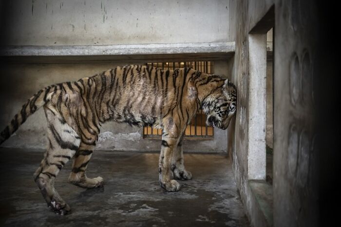 68 Stunning &ldquo;Photo Of The Day&rdquo; Images Shared By The Siena Awards Over The Years