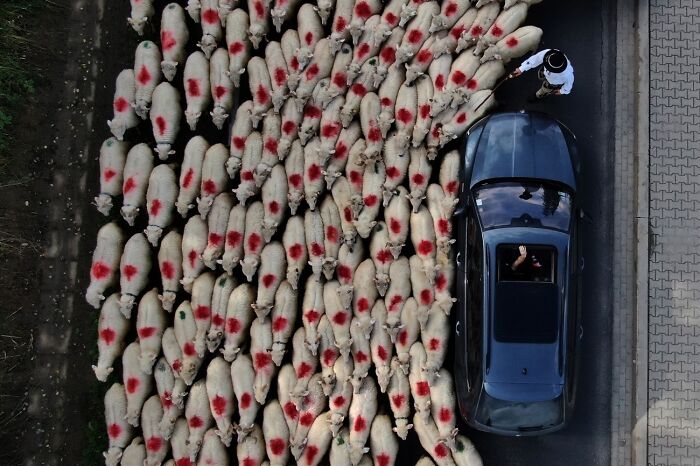 68 Stunning &ldquo;Photo Of The Day&rdquo; Images Shared By The Siena Awards Over The Years