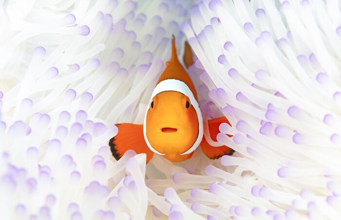 68 Stunning &ldquo;Photo Of The Day&rdquo; Images Shared By The Siena Awards Over The Years