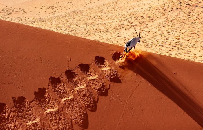 68 Stunning &ldquo;Photo Of The Day&rdquo; Images Shared By The Siena Awards Over The Years