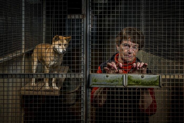 68 Stunning &ldquo;Photo Of The Day&rdquo; Images Shared By The Siena Awards Over The Years