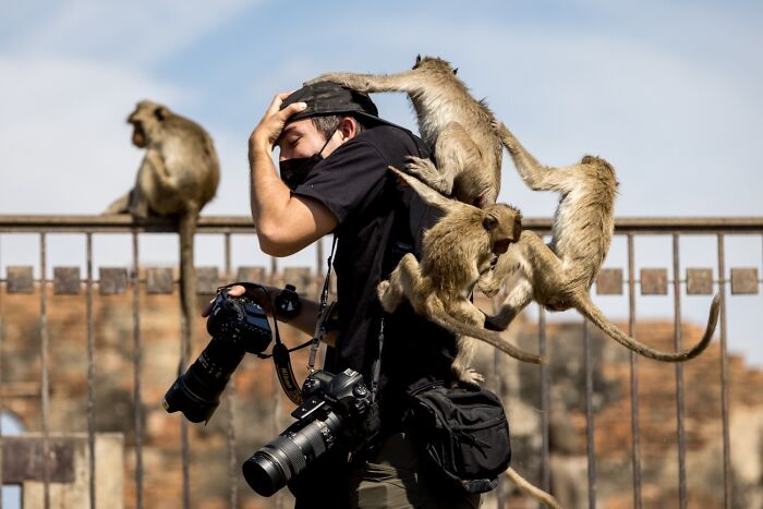 68 Stunning &ldquo;Photo Of The Day&rdquo; Images Shared By The Siena Awards Over The Years
