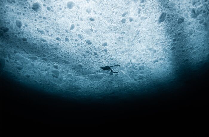 40 Extraordinary Ocean Photos Shared By This Community That Celebrate The Wonder And Fragility Of Our Blue Planet