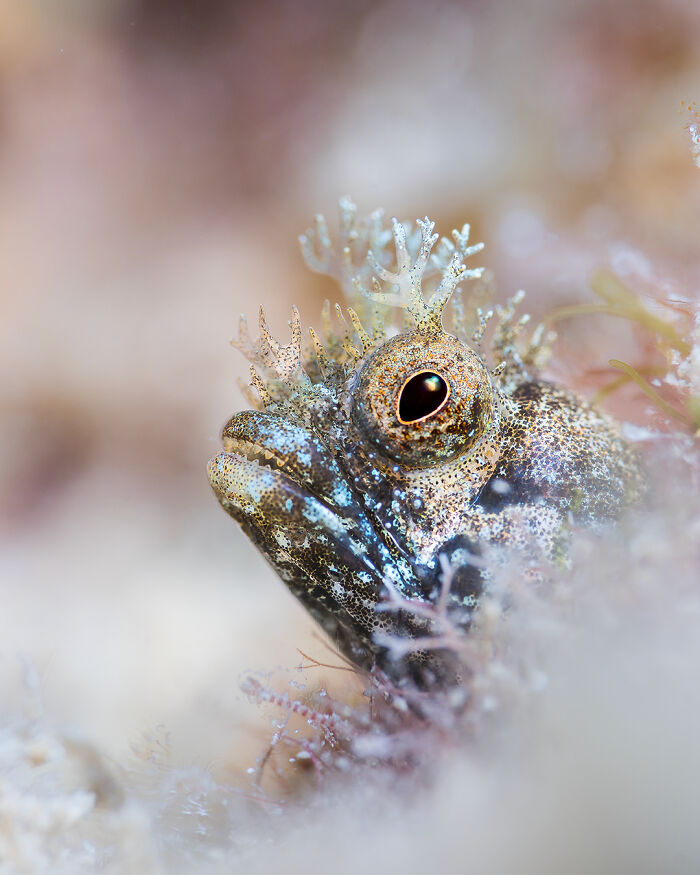 40 Extraordinary Ocean Photos Shared By This Community That Celebrate The Wonder And Fragility Of Our Blue Planet