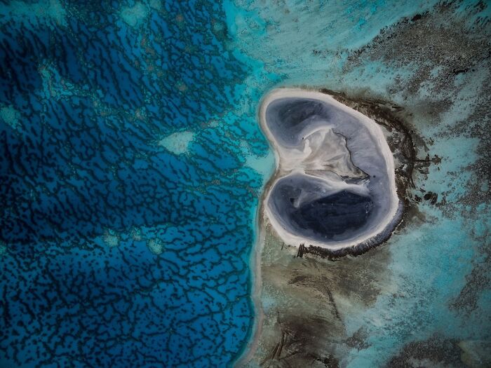 40 Extraordinary Ocean Photos Shared By This Community That Celebrate The Wonder And Fragility Of Our Blue Planet