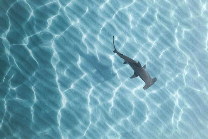 40 Extraordinary Ocean Photos Shared By This Community That Celebrate The Wonder And Fragility Of Our Blue Planet