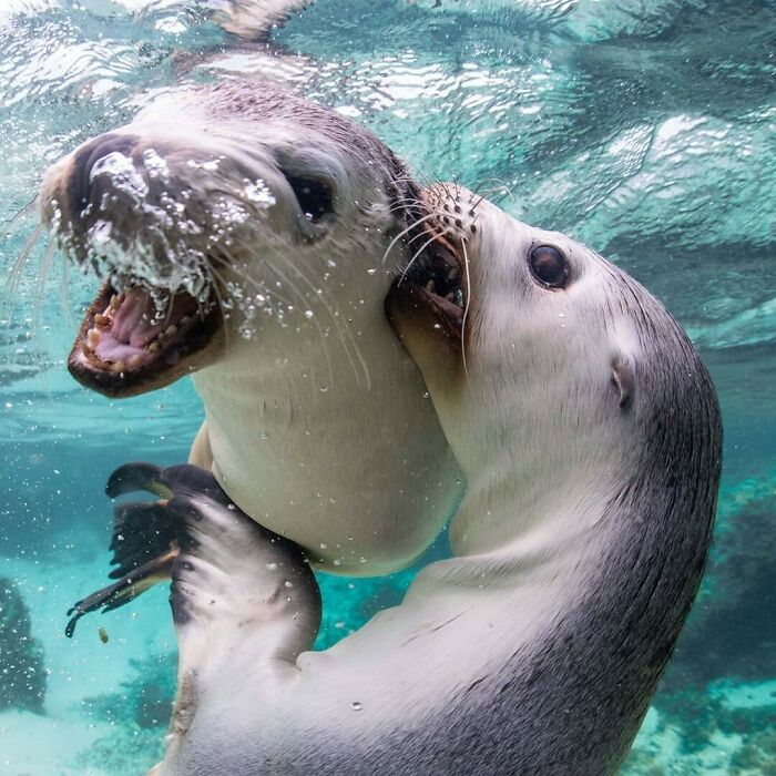 40 Extraordinary Ocean Photos Shared By This Community That Celebrate The Wonder And Fragility Of Our Blue Planet