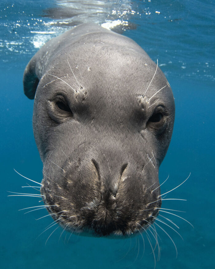 40 Extraordinary Ocean Photos Shared By This Community That Celebrate The Wonder And Fragility Of Our Blue Planet
