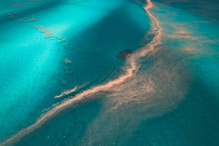 40 Extraordinary Ocean Photos Shared By This Community That Celebrate The Wonder And Fragility Of Our Blue Planet