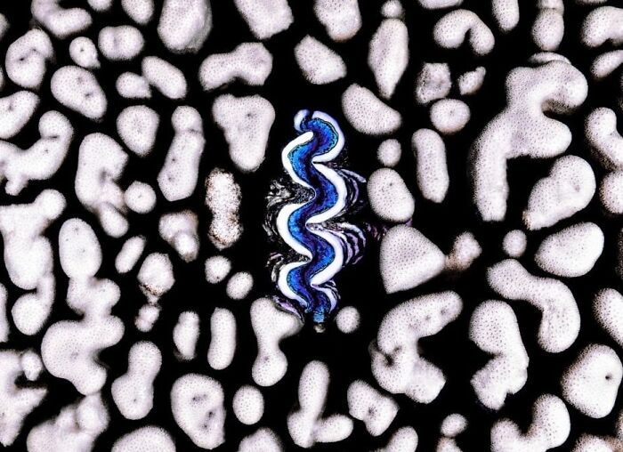 40 Extraordinary Ocean Photos Shared By This Community That Celebrate The Wonder And Fragility Of Our Blue Planet