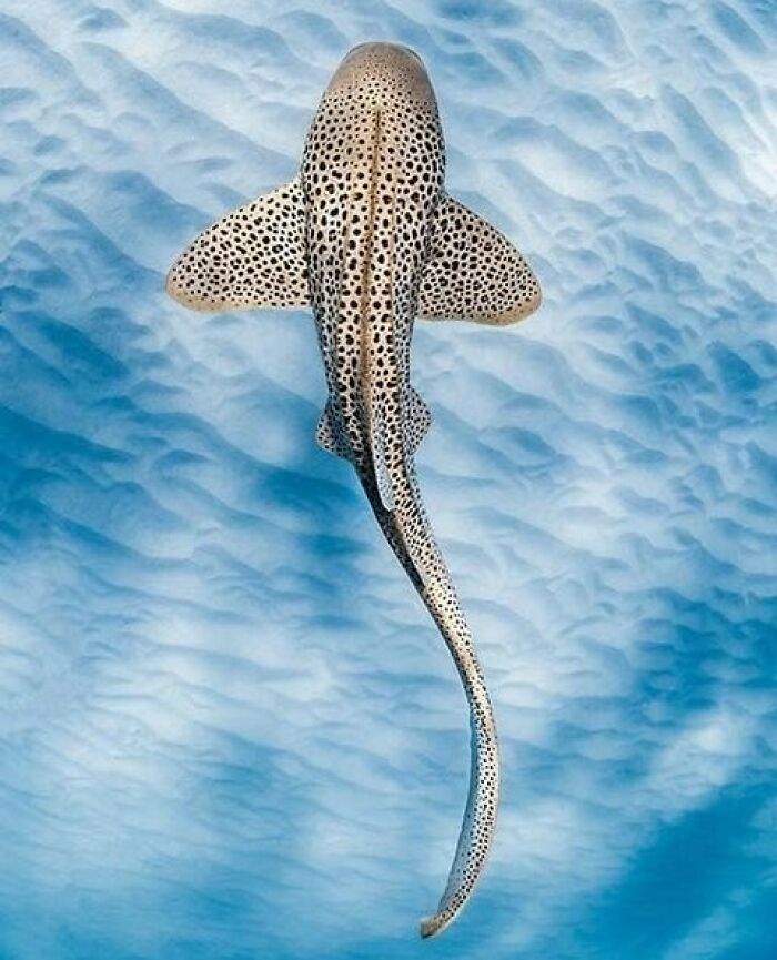 40 Extraordinary Ocean Photos Shared By This Community That Celebrate The Wonder And Fragility Of Our Blue Planet