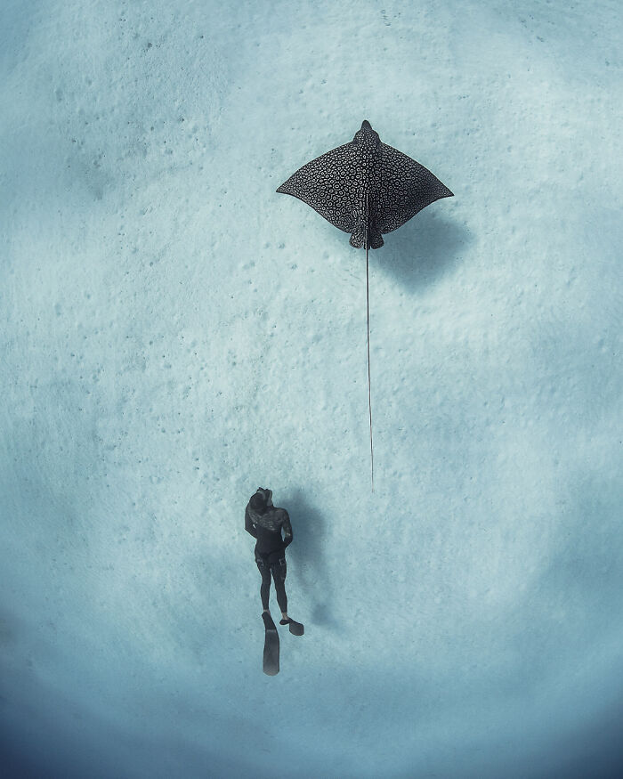 40 Extraordinary Ocean Photos Shared By This Community That Celebrate The Wonder And Fragility Of Our Blue Planet