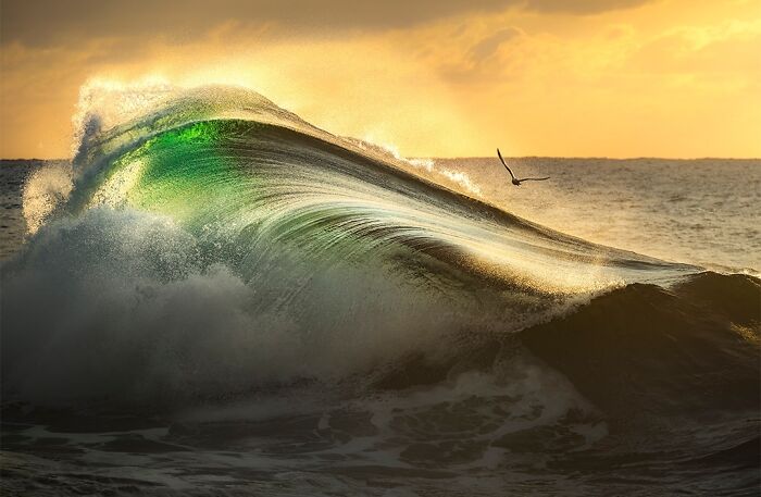40 Extraordinary Ocean Photos Shared By This Community That Celebrate The Wonder And Fragility Of Our Blue Planet