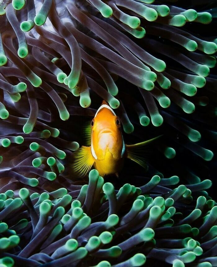 40 Extraordinary Ocean Photos Shared By This Community That Celebrate The Wonder And Fragility Of Our Blue Planet