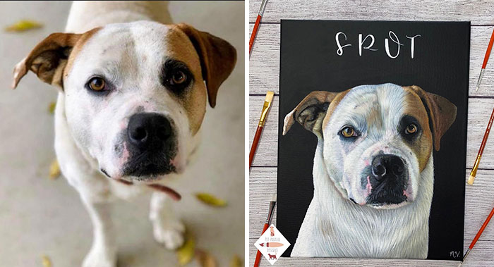 This Artist Paints Incredibly Detailed Pet Portraits That Owners Can Treasure Forever (33 Pics)