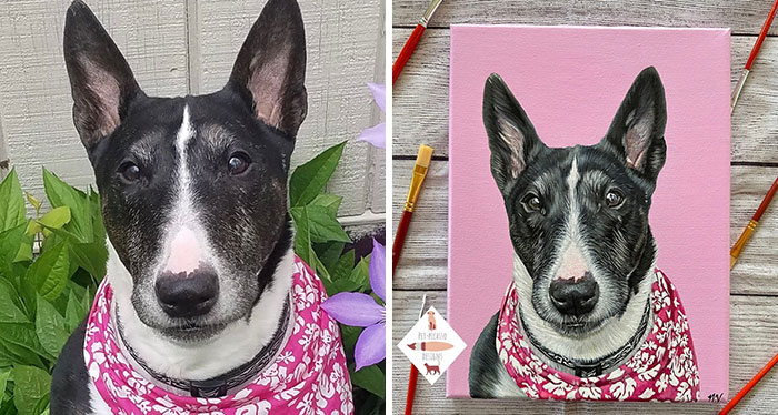 This Artist Paints Incredibly Detailed Pet Portraits That Owners Can Treasure Forever (33 Pics)