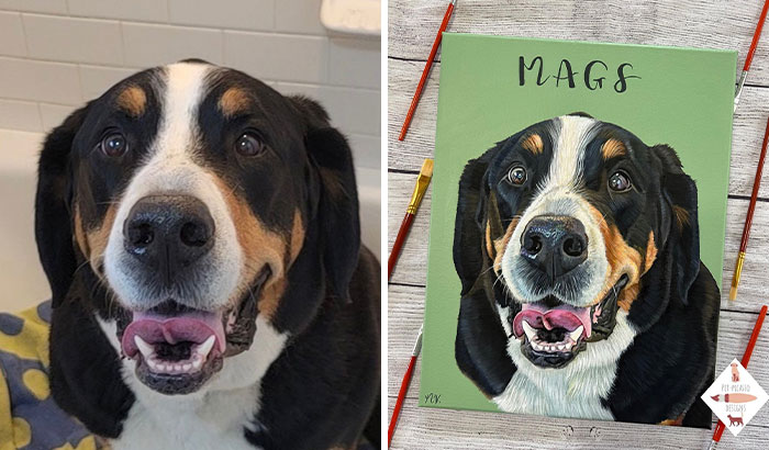 This Artist Paints Incredibly Detailed Pet Portraits That Owners Can Treasure Forever (33 Pics)