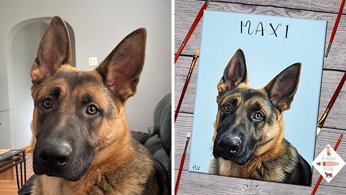 This Artist Paints Incredibly Detailed Pet Portraits That Owners Can Treasure Forever (33 Pics)
