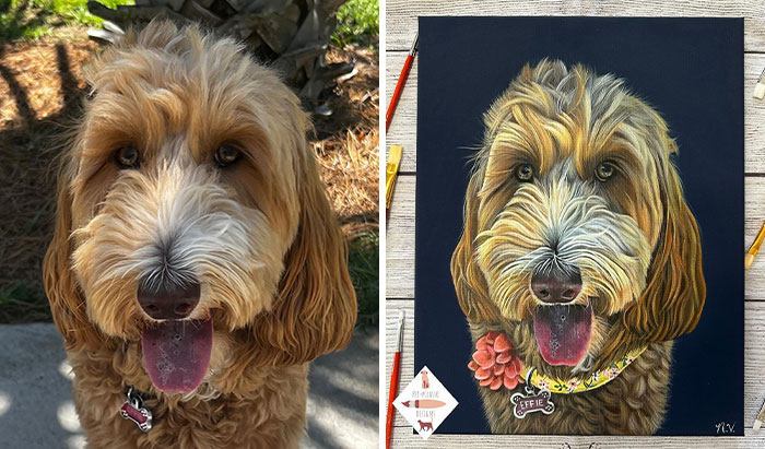 This Artist Paints Incredibly Detailed Pet Portraits That Owners Can Treasure Forever (33 Pics)