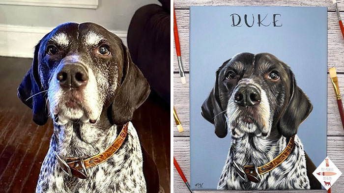 This Artist Paints Incredibly Detailed Pet Portraits That Owners Can Treasure Forever (33 Pics)