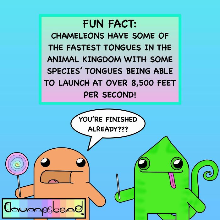 If You Find Joy In Learning Interesting And Fun Facts, Here Are 63 That Might Surprise You