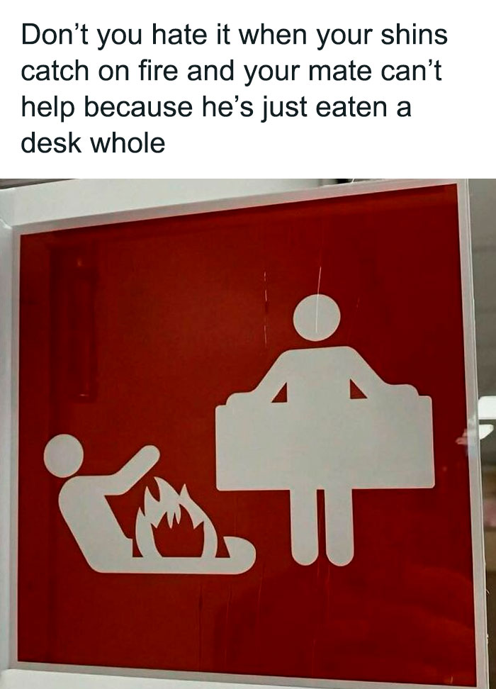 75 Unhinged And Wild Memes That Might Make Your Day Better