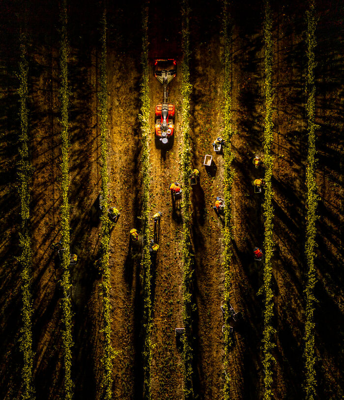 The 2026 World Food Photography Awards Shortlist Has Been Announced (35 Pics)