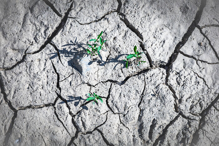 The 2026 World Food Photography Awards Shortlist Has Been Announced (35 Pics)