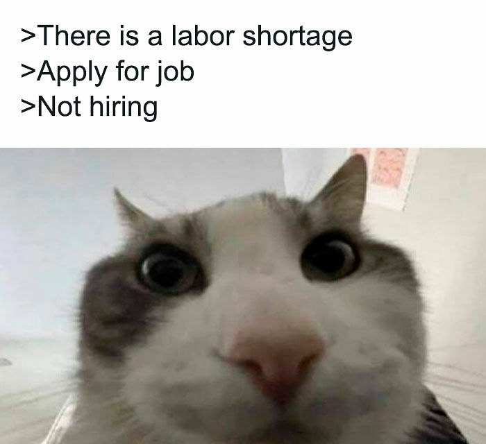 45 Memes About The Job Market That Are As Funny As They Are Painful