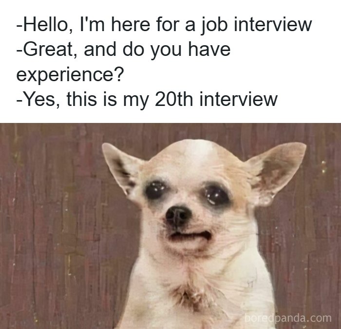 45 Memes About The Job Market That Are As Funny As They Are Painful