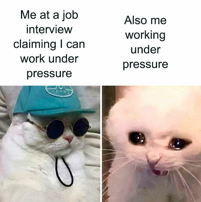 45 Memes About The Job Market That Are As Funny As They Are Painful