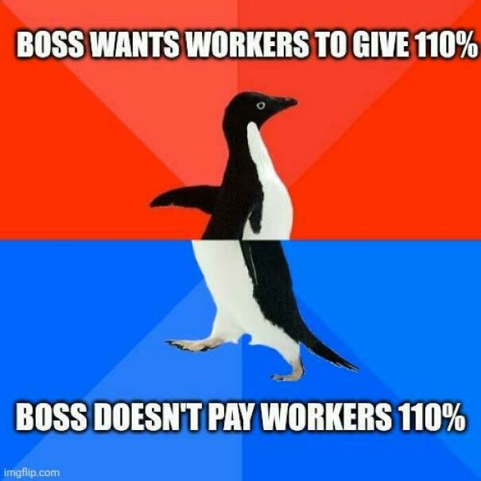45 Memes About The Job Market That Are As Funny As They Are Painful