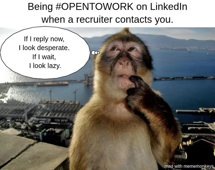 45 Memes About The Job Market That Are As Funny As They Are Painful