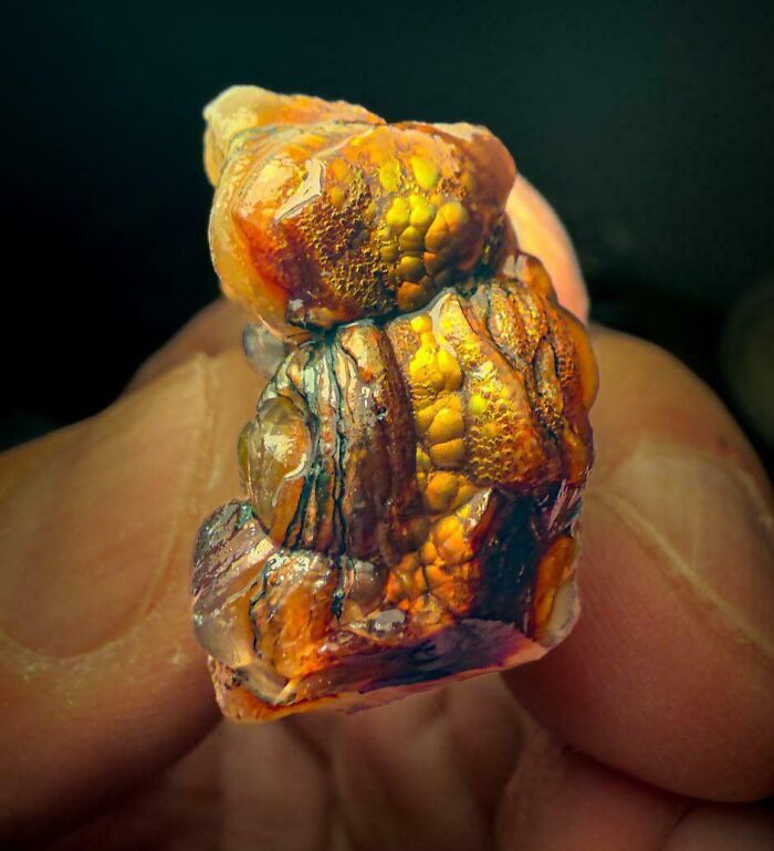 From Abandoned Towns To Weird Statues, Here Are 58 Of The Most Unexpected Things Found In Deserts