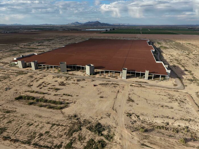 From Abandoned Towns To Weird Statues, Here Are 58 Of The Most Unexpected Things Found In Deserts