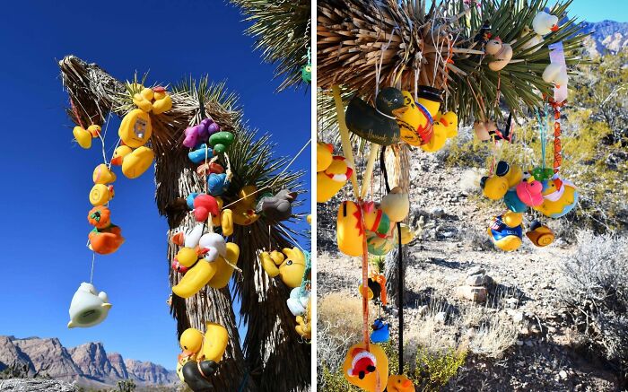 From Abandoned Towns To Weird Statues, Here Are 58 Of The Most Unexpected Things Found In Deserts